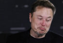 Após multa, Elon Musk manda recado a Moraes