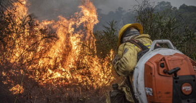 Governo edita MP de combate a incêndios com R$ 154 milhões para Forças Armadas