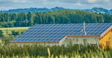 Peso na conta de luz de jabuti para energia solar será de R$ 24 bi