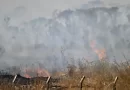 CNM: incêndios florestais afetam 18,9 mi de pessoas e resultam em R$ 2 bi de prejuízo