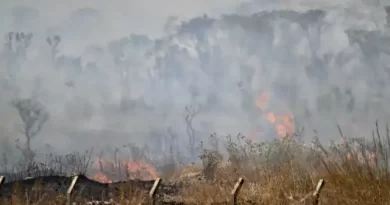 CNM: incêndios florestais afetam 18,9 mi de pessoas e resultam em R$ 2 bi de prejuízo