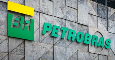 Se Petrobras decidir aumentar preço do combustível, que o faça, diz Lula