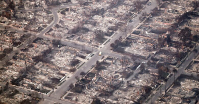 Imagens da tragédia: Incêndios em LA deixam 10 mortos e cenário caótico