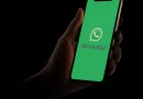 WhatsApp testa reações com emojis e função de levantar a mão em chamadas