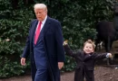 “Uma imagem feliz”. Vídeo de Trump com filho de Elon Musk torna-se viral